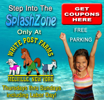 Long Island's Water Park
